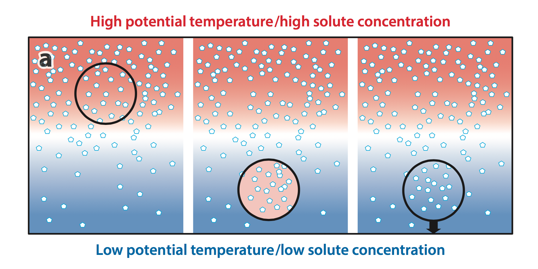 Thermohaline Schematic